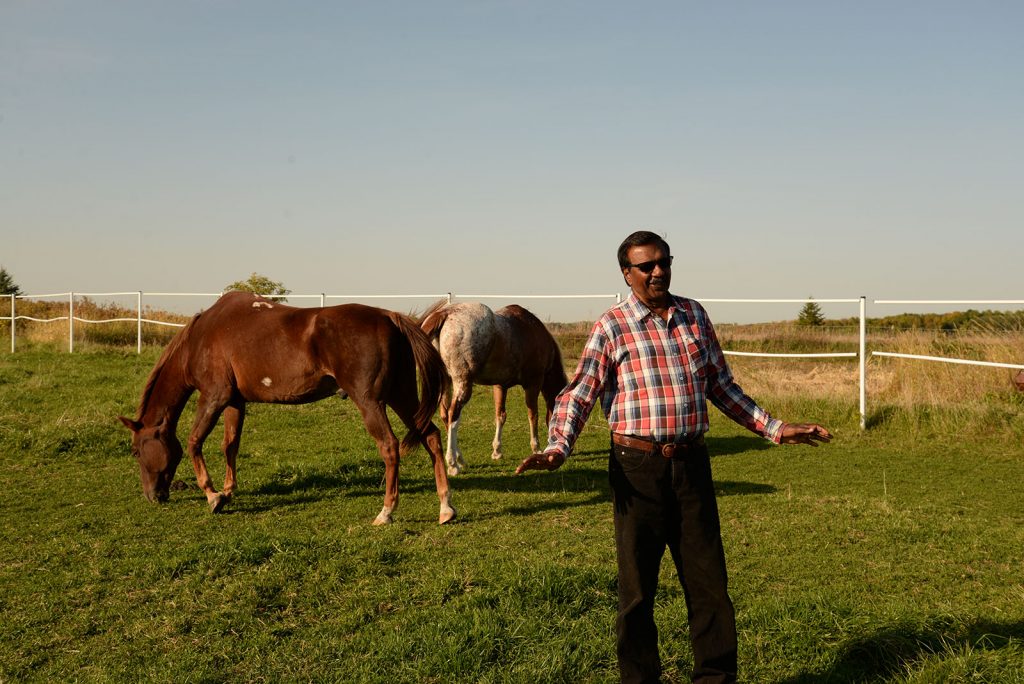 Sham Moteelall in the pasture with his horses